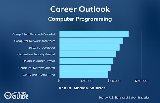 graphic about computer programmer career