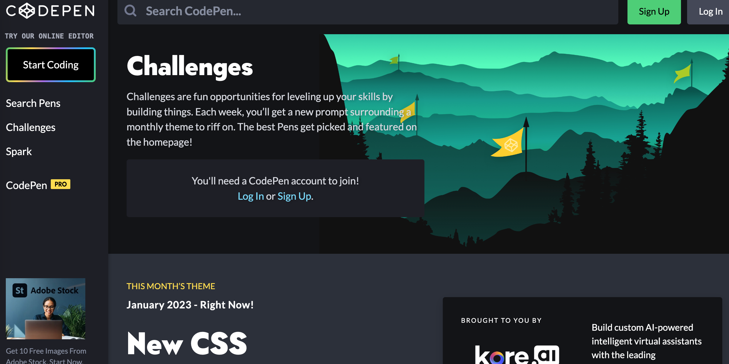 codepen website